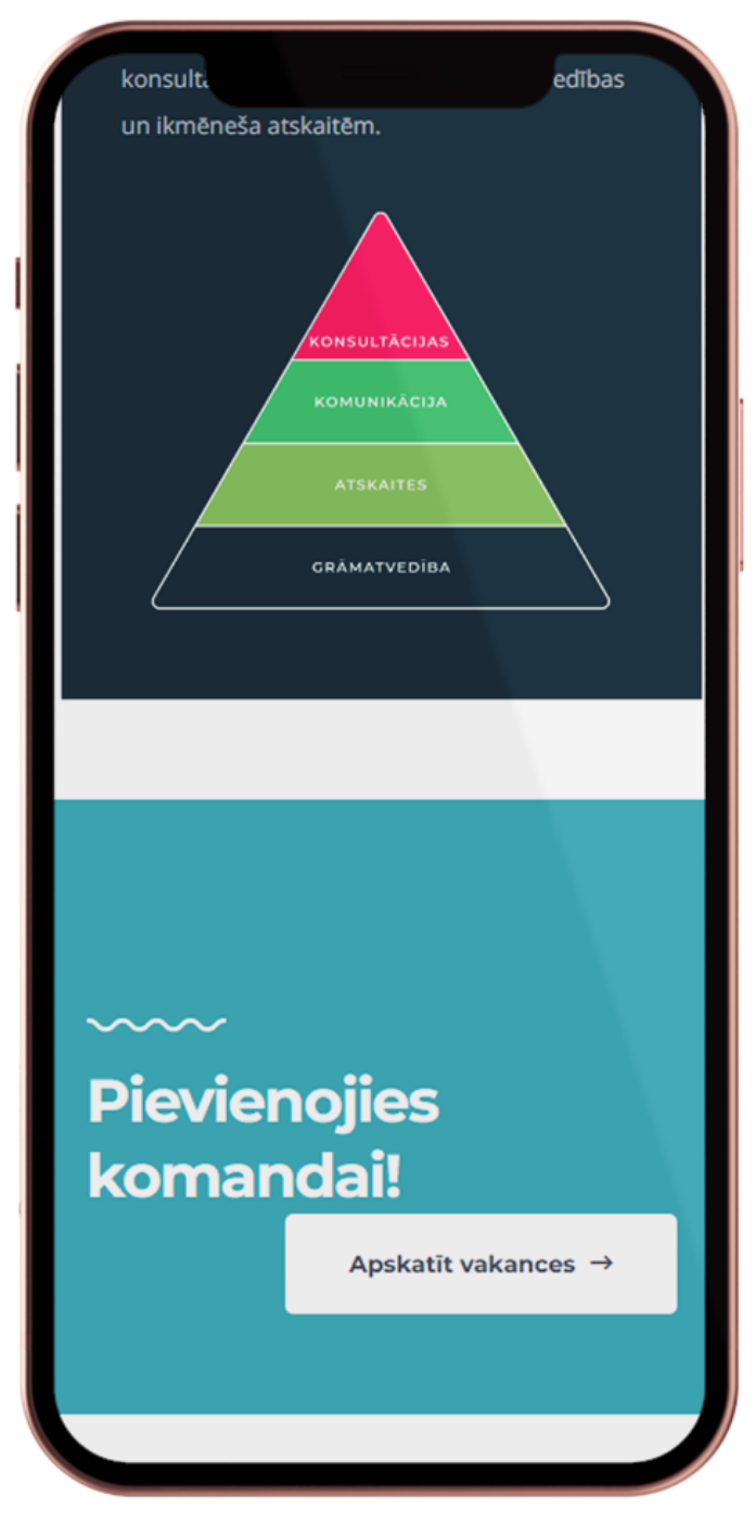 qtime accounting - mājaslapas izstrāde5